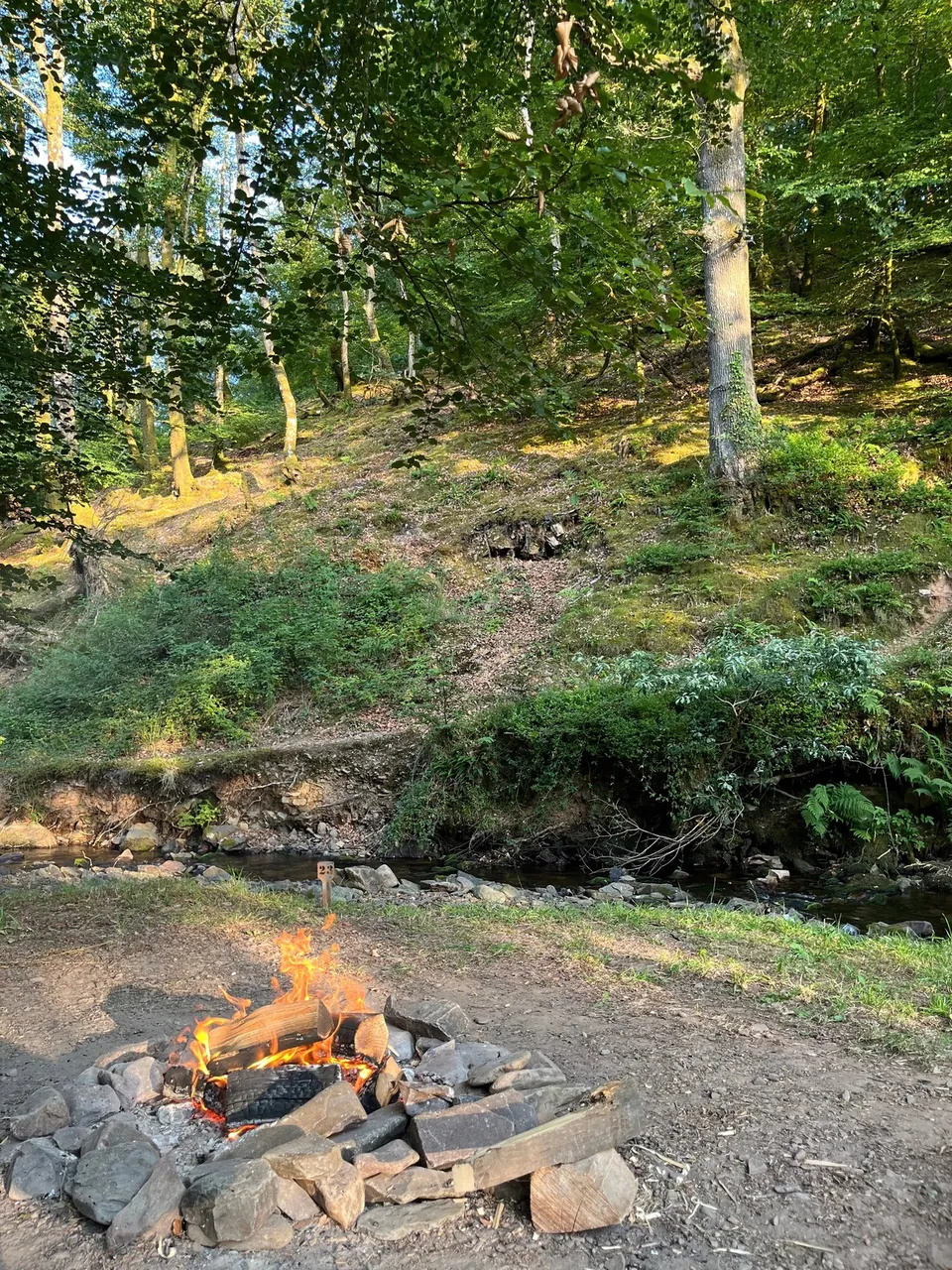 Fogata encendida junto a un arroyo en un bosque de Inglaterra